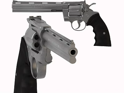Two Different Revolvers With Silver Metal Body And Black Grip Holster Design 3d model