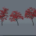 Three Trees with Lush Red Leaves and Graceful Branches Against White Background 3d model
