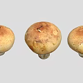 Three Fresh Brown Capped White Stemmed Mushrooms For Cooking Dishes