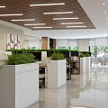Public Office Area Modern Design With Marble Reception Desk Wooden Panels And Green Plant