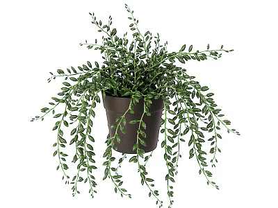 Indoor Decorative Bonsai Potted Plant with Hanging Green Leaves in Brown Pot 3d model
