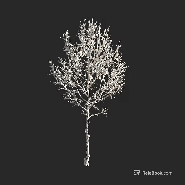 Bare Branch Arbor with White Trunk and Intricate Branch Structure on Black Background 3d model