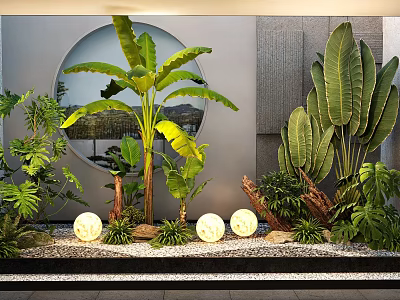 Modern Indoor Plant Combination With Large Leaf Plants Small Greenery Round Lights And Stone Decor 3d model