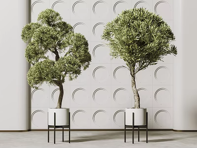 Bonsai Plants in White Pots with Black Stands Against Circular Patterned Wall 3d model