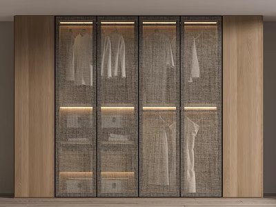 Modern Wardrobe Design Featuring Glass Mesh Doors Hanging Clothes Storage Shelves And Lighting 3d model