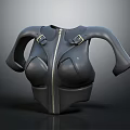 Black Fitted Chest Armor With Front Zipper And Shoulder Buckle Details Design