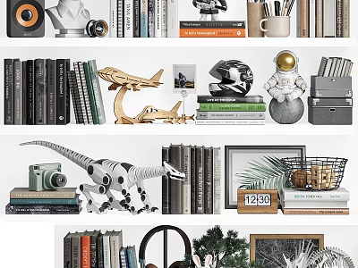 Books Magazines Collection On Shelf With Dinosaur Astronaut Airplane Models Camera And Green Plant 3d model
