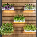 Wall Mounted Potted Plants With White Planters Purple Flowers And Hanging Greenery On Wooden Wall
