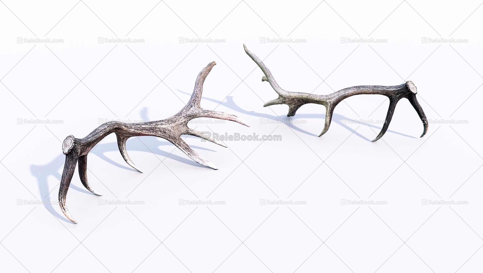 Modern antlers elk antlers 3d model