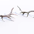 Natural Antler Animal Wall Decor Pieces for Rustic Home Decoration