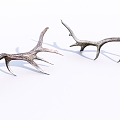 Modern antlers elk antlers 3d model