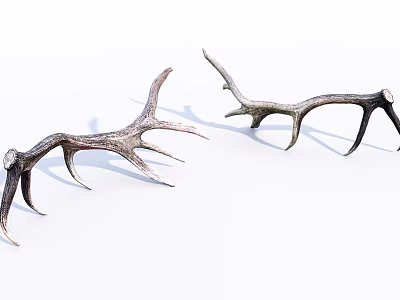 Natural Antler Animal Wall Decor Pieces for Rustic Home Decoration 3d model