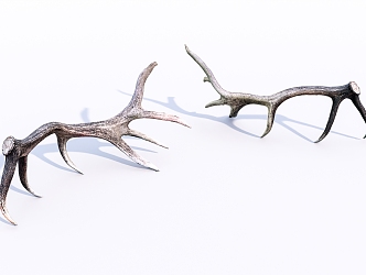 Modern antlers elk antlers 3d model