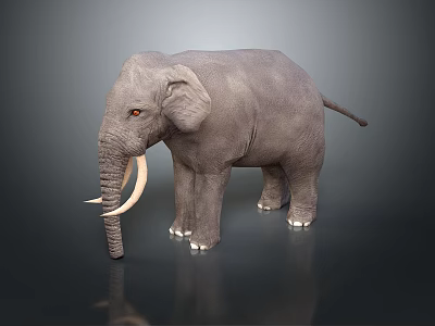Realistic Gray Elephant Figure With White Tusks And Red Eyes On Dark Background 3d model