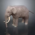 Realistic Gray Elephant Figure With White Tusks And Red Eyes On Dark Background
