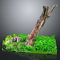 Lush Green Plants and Grass Surrounding Weathered Tree Trunk on Small Platform