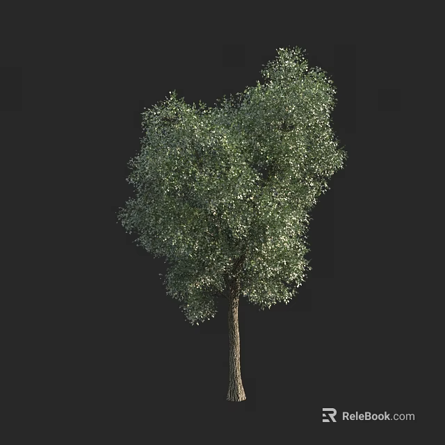 Tall Arbor With Lush Green Foliage And Sturdy Trunk In Isolated Setting 3d model 