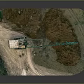 Wild Animals Living Near Construction Site with Yellow Machinery and Green Vegetation