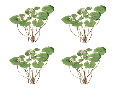 Vibrant Aquatic Plants With Green Leaves And Pink Flowers In Water 3d model