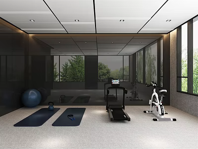 Entertainment Room Interior With Treadmill Exercise Bike Yoga Mats Exercise Ball Large Windows And Greenery 3d model