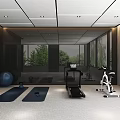 Entertainment Room Interior With Treadmill Exercise Bike Yoga Mats Exercise Ball Large Windows And Greenery