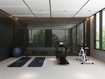 Modern Gym Home Gym Home Gym 3d model