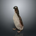 Realistic 3D Penguin Model With Detailed Texture Standing Pose And Studio Lighting