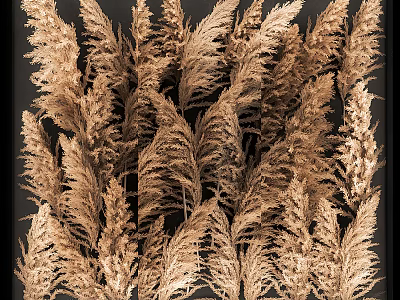 Elegant Feathery Brown Dried Flowers Arrangement in Vase for Modern Home Decor 3d model
