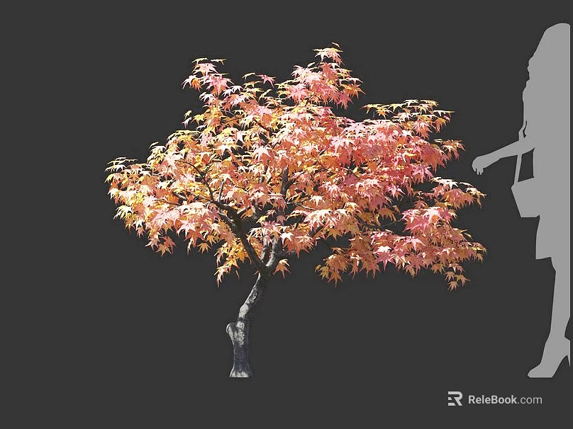 Beautiful Autumn Colored Arbor With Red Orange Leaves And Woman Silhouette 3d model 