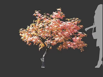 Beautiful Autumn Colored Arbor With Red Orange Leaves And Woman Silhouette 3d model