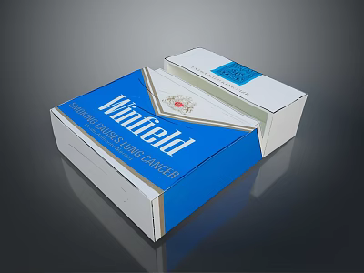 Winfield Blue And White Cigarette Pack With Filter Cigarettes Label Design 3d model