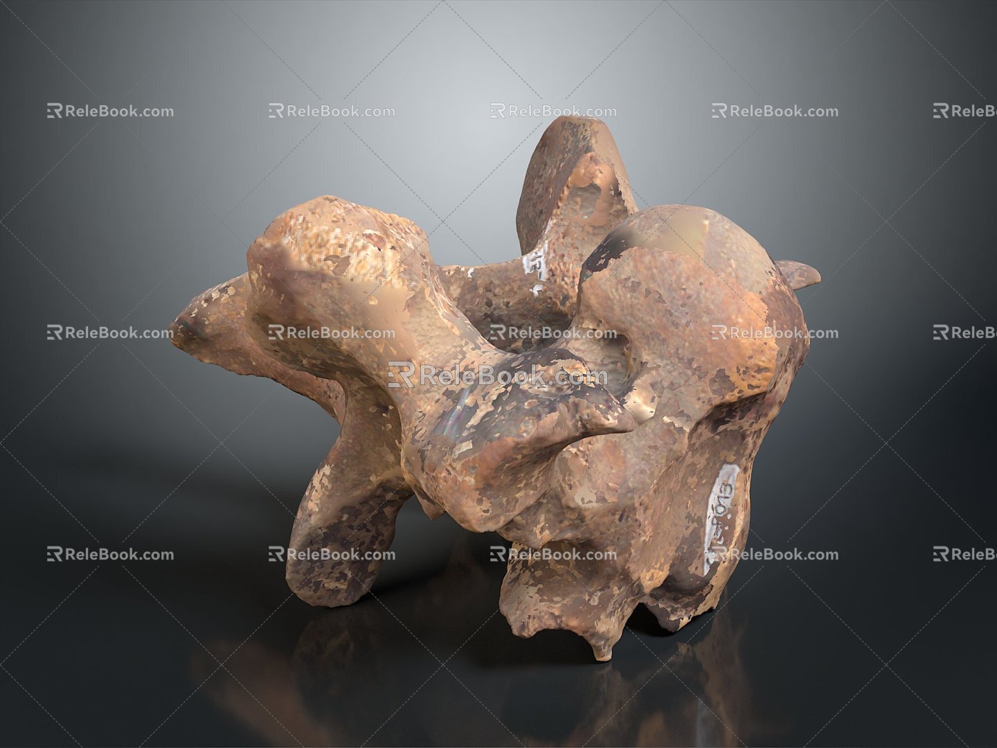 Vertebrae Cervical vertebrae Vertebrae Bone Bone Human Bone Bone Human Body Organ 3d model