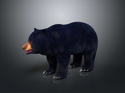 Realistic Black Bear 3D Model With Detailed Dark Fur And Standing Pose 3d model