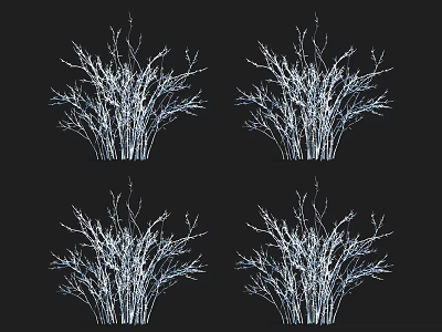 Four Bare Branch Trees With Intricate Twigs Against Black Background 3d model