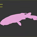 Light Pink Spotted Shark With Smooth Body Shape And Reflection On Dark Surface 3d model