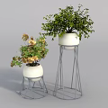 Decorative Potted Plants In White Pots With Metal Stands Green Leaves And Yellow Flowers
