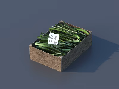 Fresh Green Onions in Wooden Box with Price Tag and Fresh Produce 3d model