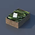 Fresh Green Onions in Wooden Box with Price Tag and Fresh Produce