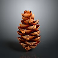 Brown Natural Pine Cone With Detailed Textured Scales Against Gray Background