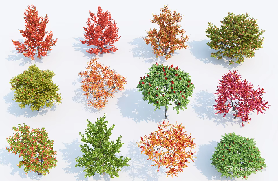 Colorful Ornamental Shrubs In Various Hues For Garden And Yard Landscaping 3d model 