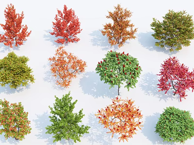 Colorful Ornamental Shrubs In Various Hues For Garden And Yard Landscaping 3d model