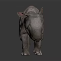 3D Rendered Baby Rhinoceros With Pinkish Gray Appearance On Dark Reflective Surface
