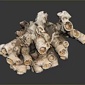 Detailed Organ And Hair Structure Featuring Tubular Branched Porous Brown White Parts