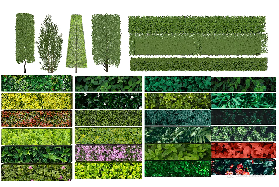 Diverse Garden Plant Combinations With Trees Shrubs Green Foliage And Colorful Blooms 3d model 