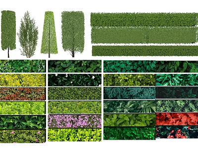 Diverse Garden Plant Combinations With Trees Shrubs Green Foliage And Colorful Blooms 3d model