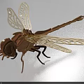 Handmade Wooden Dragonfly Doll With Detailed Wings And Intricate Craft Design