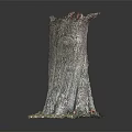 Wooden Stone Tree Stump Decorative Sculpture With Natural Green Base Accents