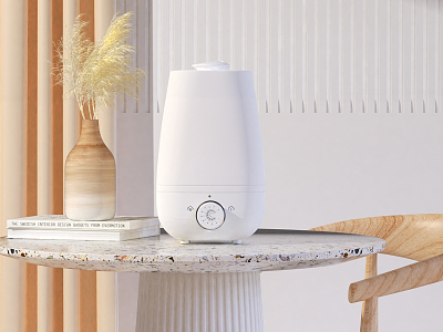 Modern humidifier model