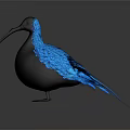 Glossy Black Bird With Long Beak And Blue Gradient Wings