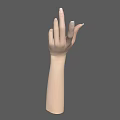 Realistic Human Hand and Arm with White Nails on Gray Background 3d model